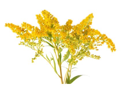 f7f7f742d370d581e3f9693d48b9bfc3644d65cf original 1385x855