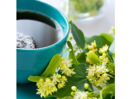 lipovy kvet