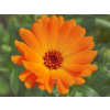 d3d8e83330a87dc8dac09e542eafcf148a1d874e original 1280x960