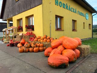 🎃 HORKÁ NOVINKA z Horňácké farmy! 🎃 Naši kolegové právě doplňují dýňovou samoobsluhu. Najdete u nás obří dýně Goliáše,...