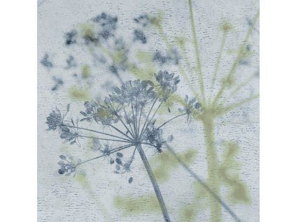 heb005.196649372618833