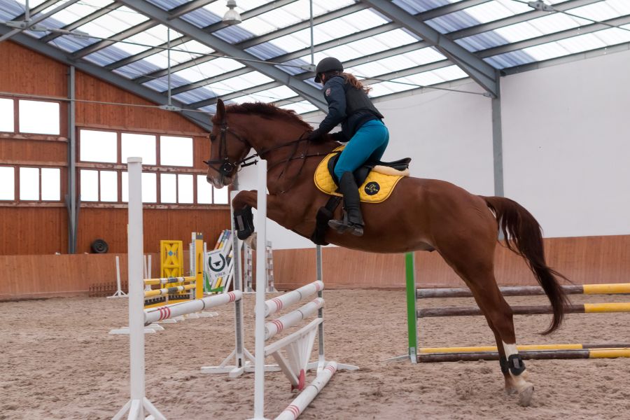 Zimní příprava aneb co všechno se dá natrénovat v hale