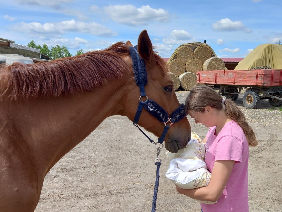 Koně a mateřství