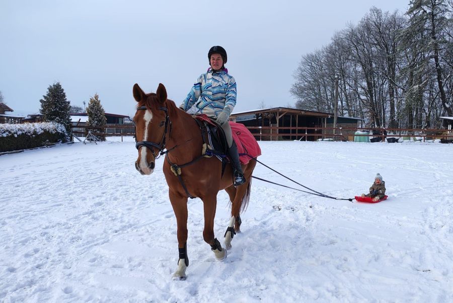 Koně a mateřství, část třetí