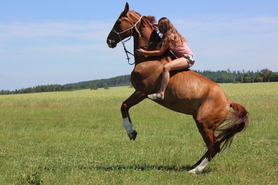Když dojde na nedobrovolné vystoupení ze sedla