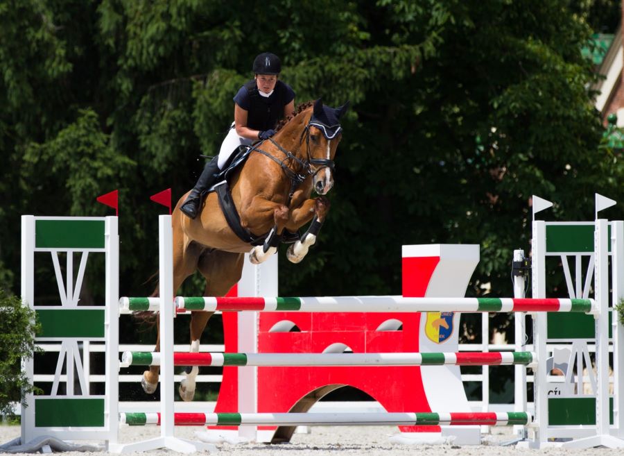 Když závodní sezóna klepe na dveře