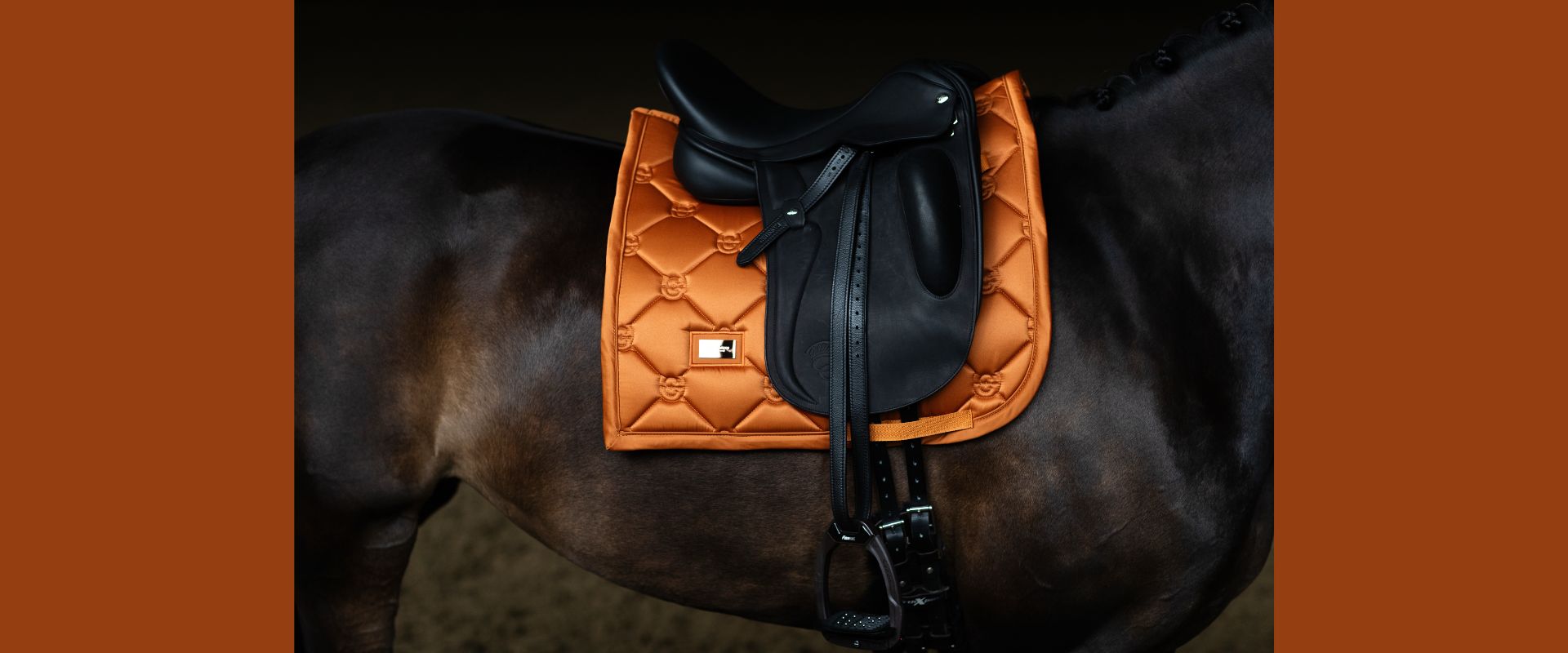 Equestrian Stockholm