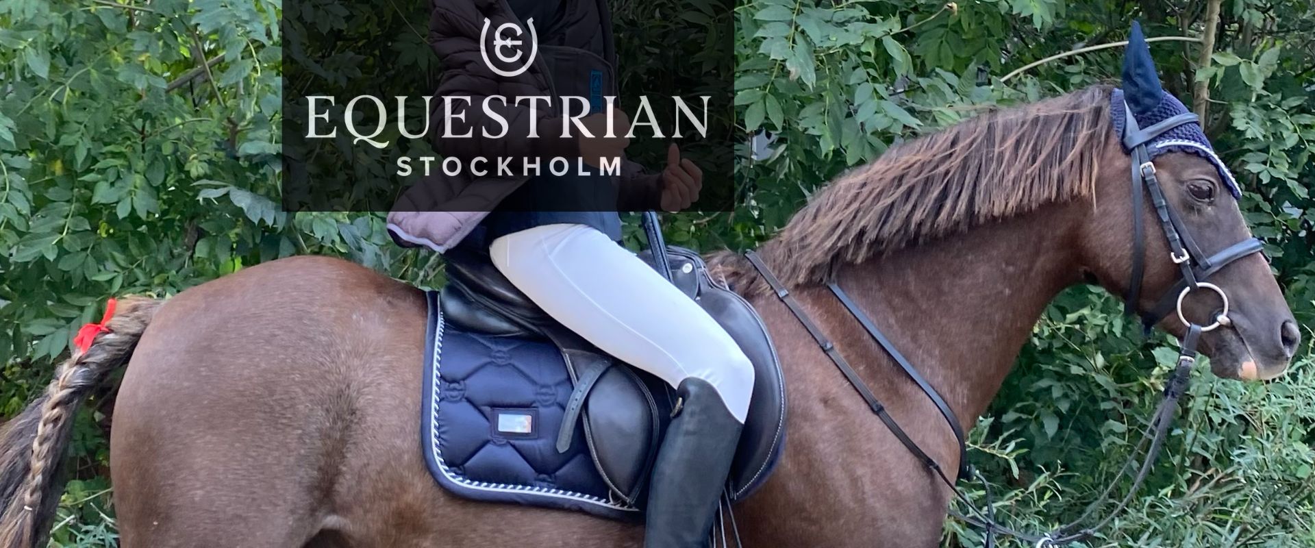 Equestrian Stockholm pripravujeme