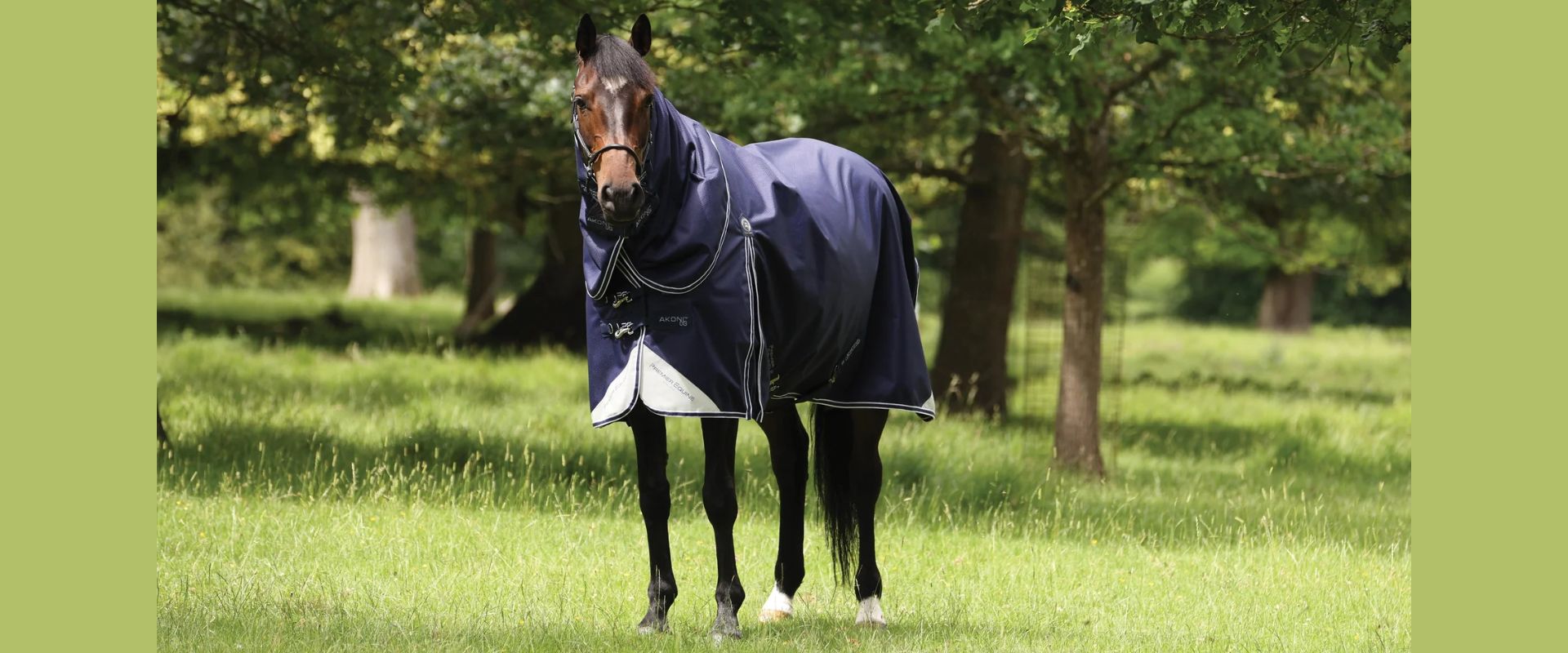 Premier Equine na Horse4u