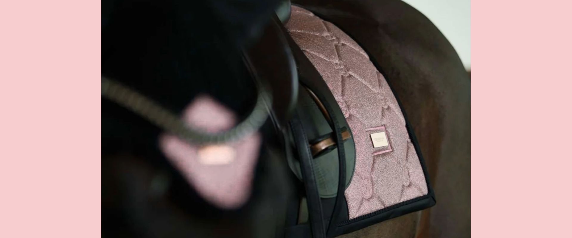Equestrian Stockholm