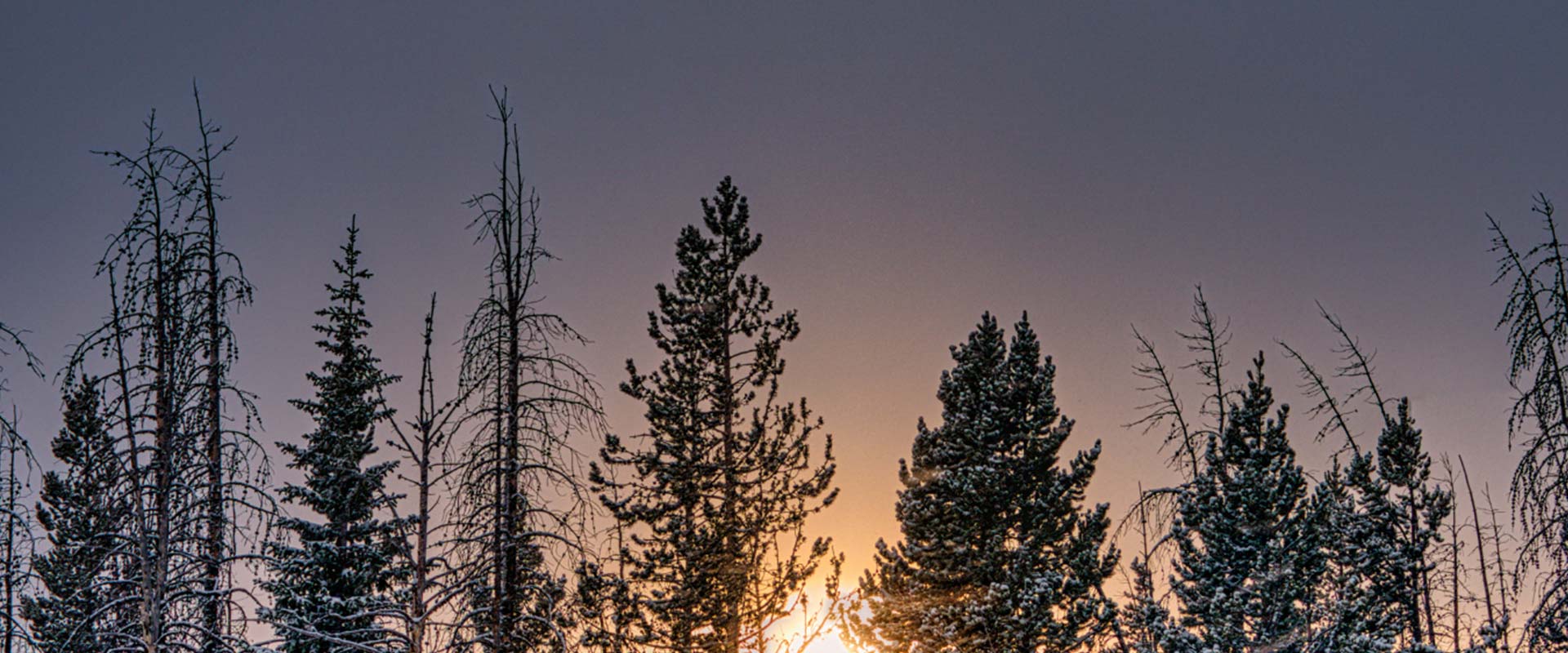 únor winter sale 2026