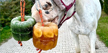 Lízátka Candy Bells skladem