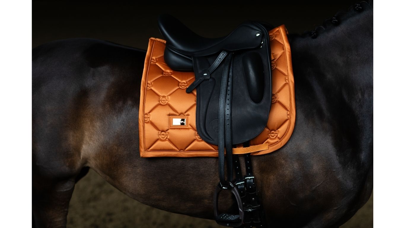 Equestrian Stockholm