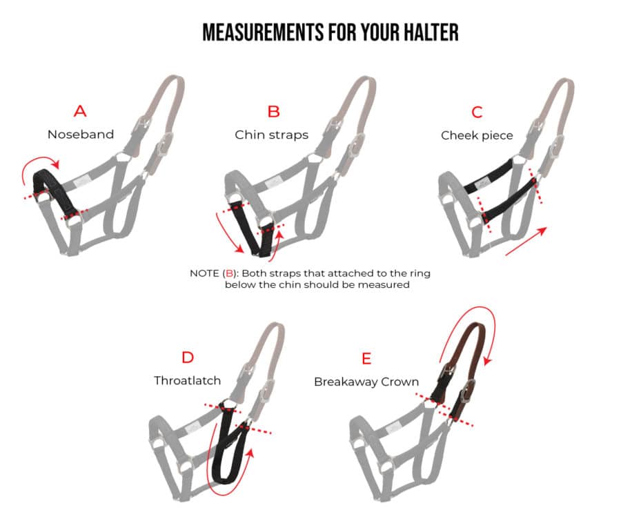 ThinLineHalterMeasurementBanner-900x768-1