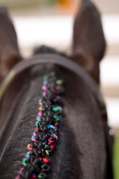 e527485105365af9d26c86907b2bed56--horse-mane-braids-horse-hair