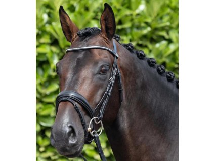 Uzdečka Premier Equine Stellazio