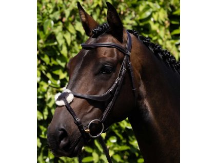 Snímek obrazovky 2024 09 08 091325