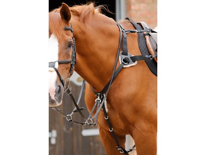 Invorio 5 Point Breastplate RGBx900