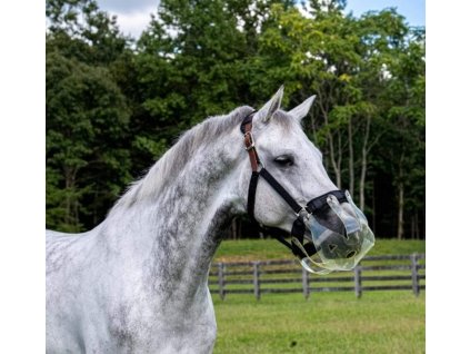 FB IMG 1681292903634