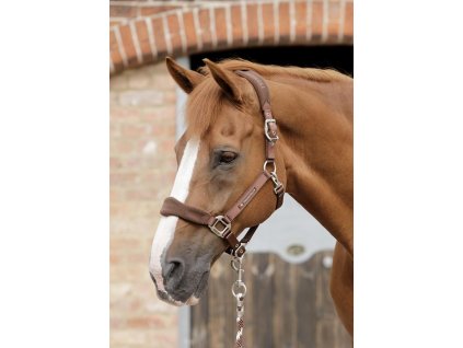SS19 Padded Fleece Head Collar Brown Main Image RGB 72 zoom
