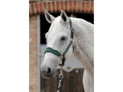 SS19 Padded Fleece Head Collar Green Main Image RGB 72 zoom