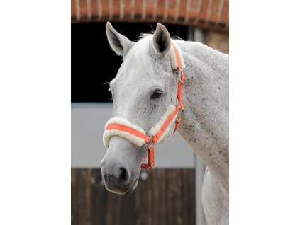 SS19 Techno Wool Lined Head Collar Orange Main Image RGB 72 zoom