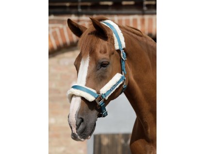 SS19 Techno Wool Lined Head Collar Turquoise Main Image RGB 72 zoom
