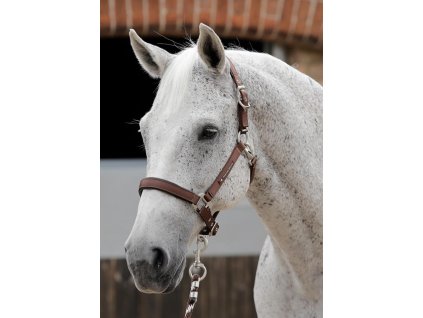 SS19 Plain Padded Head Collar Brown Main Image RGB 72 zoom