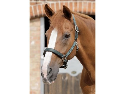 SS19 Plain Padded Head Collar Green Main Image RGB 72 zoom