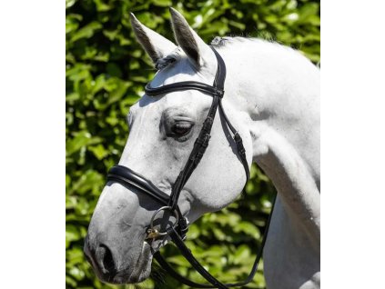 Snímek obrazovky 2024 09 08 122723