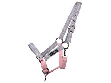 Ohlávka QHP Yearling