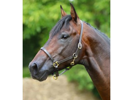 Snímek obrazovky 2023 11 20 154723