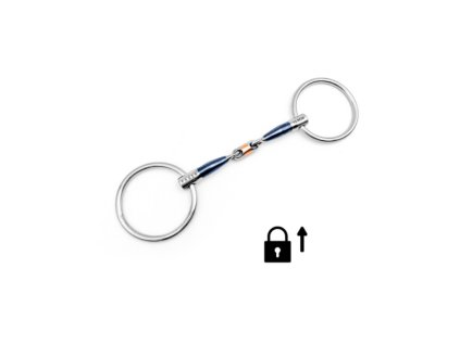 Snímek obrazovky 2024 01 29 223533