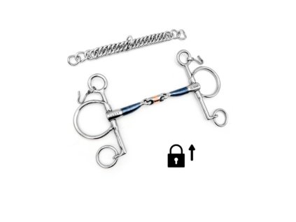 Snímek obrazovky 2024 02 20 124913