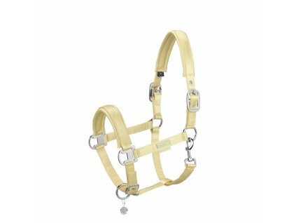 esk 420131 833 610 f