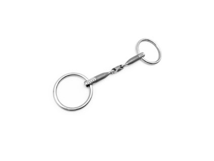 Snímek obrazovky 2024 11 02 085947