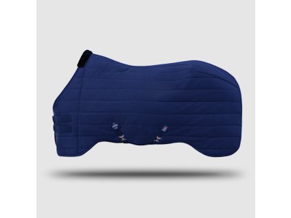 Snímek obrazovky 2024 11 21 215011