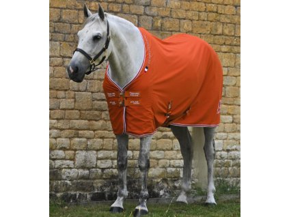 Snímek obrazovky 2025 09 09 094627