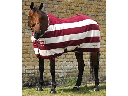 Snímek obrazovky 2025 10 02 132435