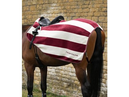 Snímek obrazovky 2025 10 02 132757