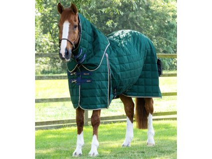 Snímek obrazovky 2025 10 13 190019