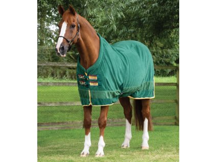 Snímek obrazovky 2025 10 15 162141