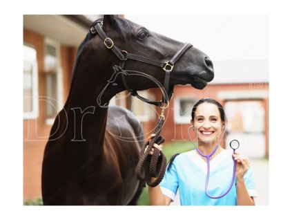 2091 stetoscope veterinary