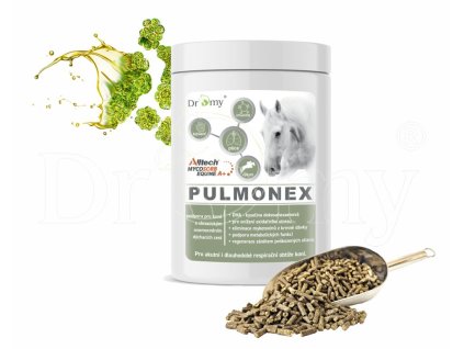 255 velka px pulmonexo