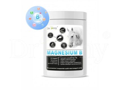2103 1 magnesium bi