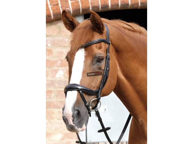 SS20 Savuto Anatomic Bridle with Crank Noseband and Flash Black Main Image 7