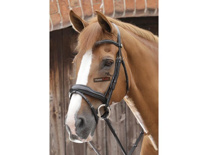 SS19 Favoloso Anatomic Bridle with Crank Noseband Black Main Image RGB 72 zo