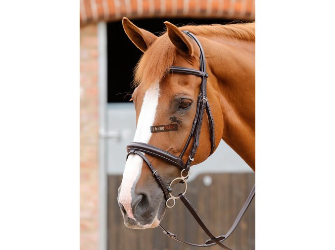 9 Delizioso Snaffle Bridle Path Brown Webx900