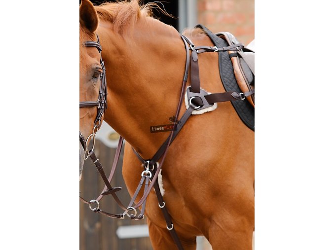 Invorio 5 Point Breastplate Brown Horse Webx900