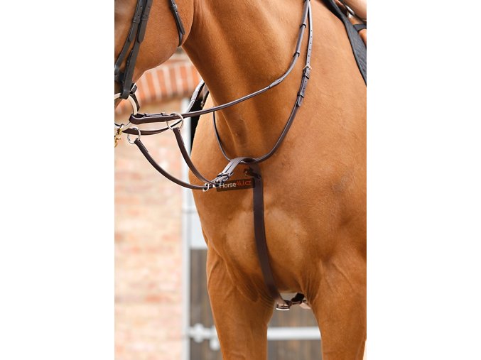 Santadi Adjustable Running Martingale RGBx900